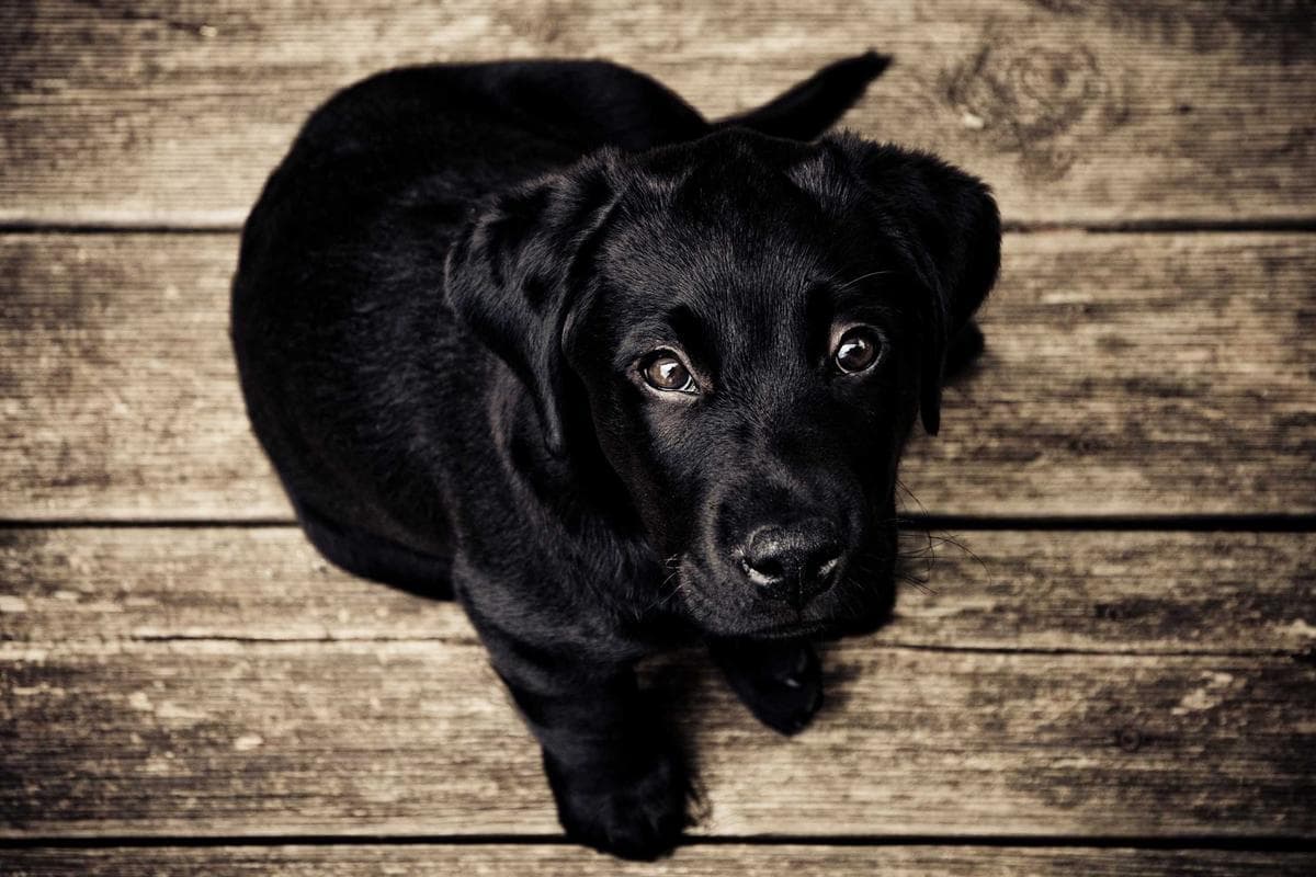 How to get better AI image prompts without starting from scratch